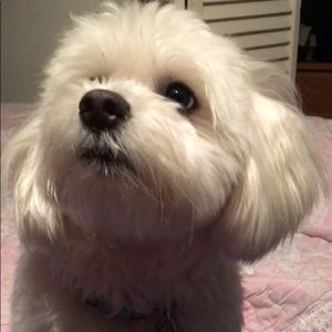 Meet your Posher, Ji young